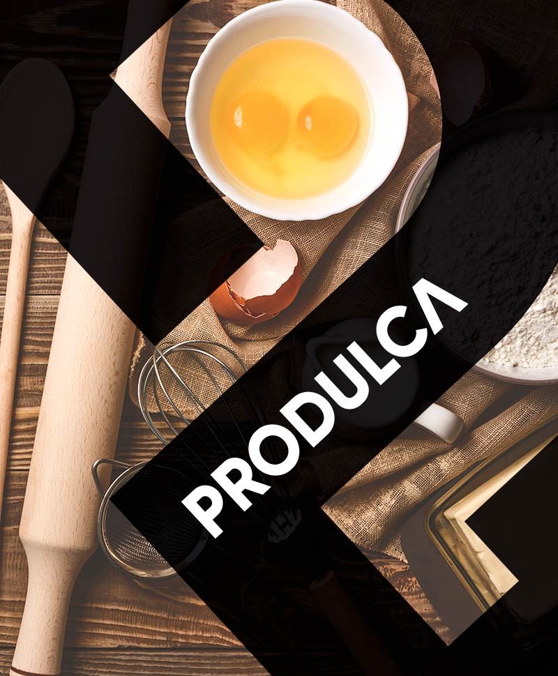 produlca nueva web